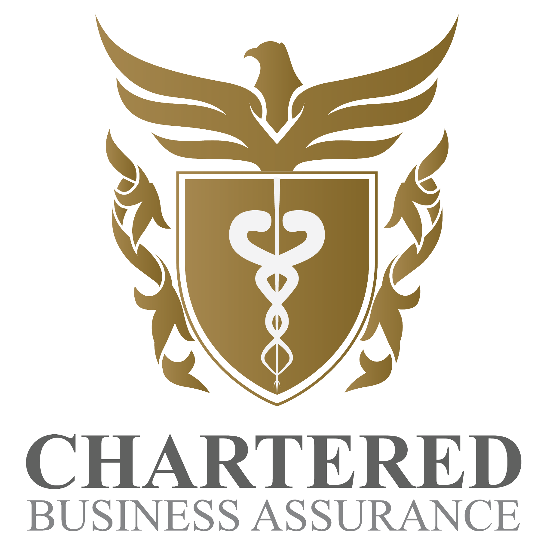Chartered Business Assurance